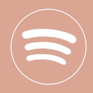Best Spotify Icon Aesthetic for ios